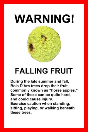 Warning! Falling Fruit